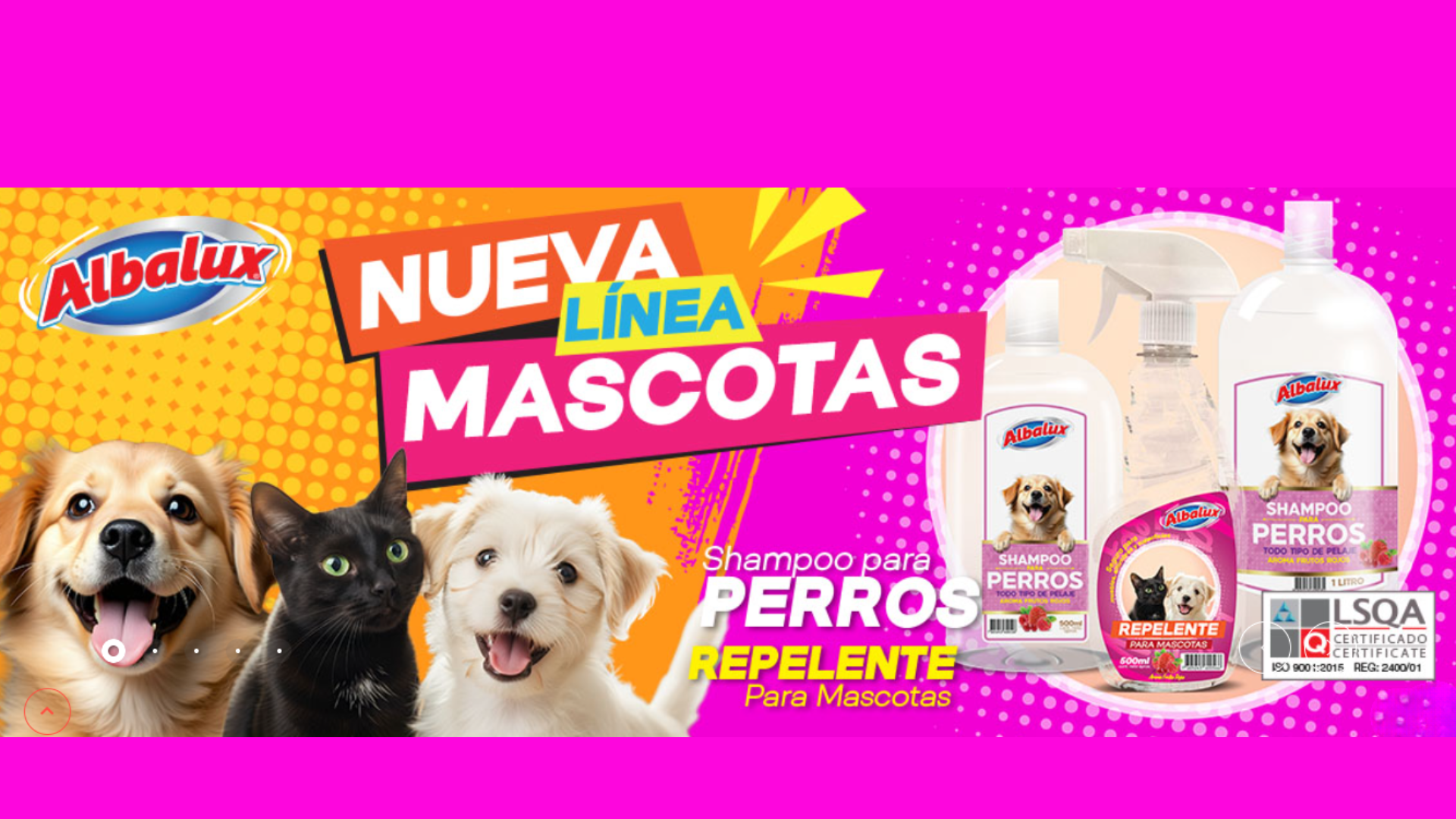 DIXO SPA